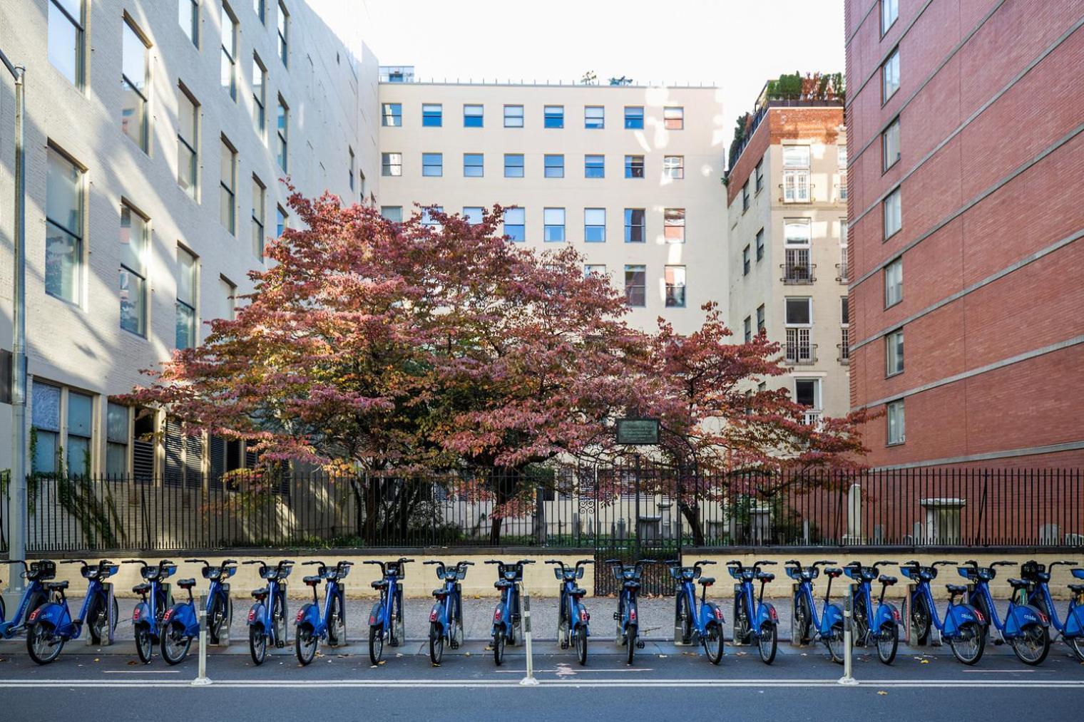 Apartment Chelsea 1br W Gym Balcony Doorman Nyc-33 *